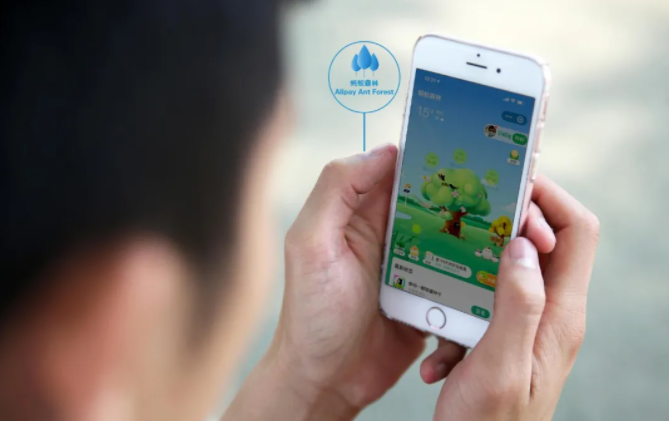 個人如何參與碳交易?